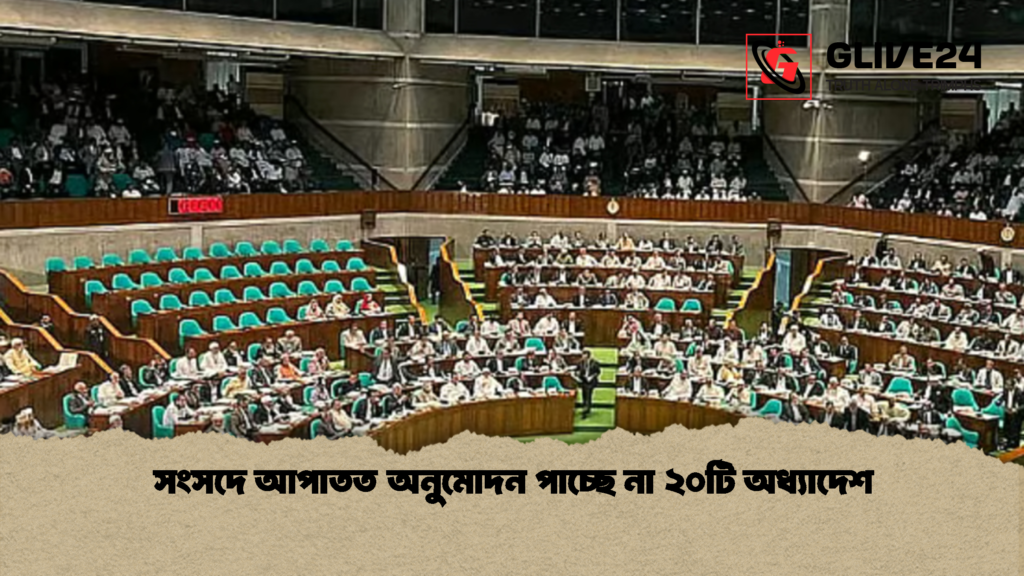 সংসদে আপাতত অনুমোদন পাচ্ছে না ২০টি অধ্যাদেশ সংসদে আপাতত অনুমোদন পাচ্ছে না ২০টি অধ্যাদেশ