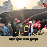 সন্তান খুঁজে পাগল কুলসুম সন্তান খুঁজে পাগল কুলসুম