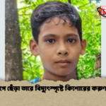 সন্দ্বীপে ছেঁড়া তারে বিদ্যুৎস্পৃষ্টে কিশোরের করুণ মৃত্যু সন্দ্বীপে ছেঁড়া তারে বিদ্যুৎস্পৃষ্টে কিশোরের করুণ মৃত্যু