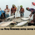 সাগরে ৫৮ দিনের নিষেধাজ্ঞায় ভোলার জেলেরা সংকটে সাগরে ৫৮ দিনের নিষেধাজ্ঞায় ভোলার জেলেরা সংকটে
