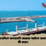 হরমুজ প্রণালিতে বাংলাদেশি জাহাজ আটকে থাকার পেছনে কী কারণ