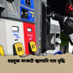 হরমুজ সংকটে জ্বালানি দাম বৃদ্ধি হরমুজ সংকটে জ্বালানি দাম বৃদ্ধি