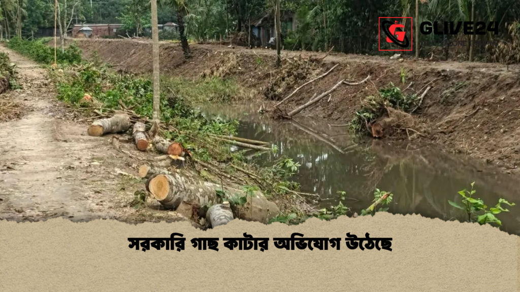 news thumbnail 1777728185913 সরকারি গাছ কাটার অভিযোগ উঠেছে