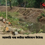 news thumbnail 1777728185913 সরকারি গাছ কাটার অভিযোগ উঠেছে