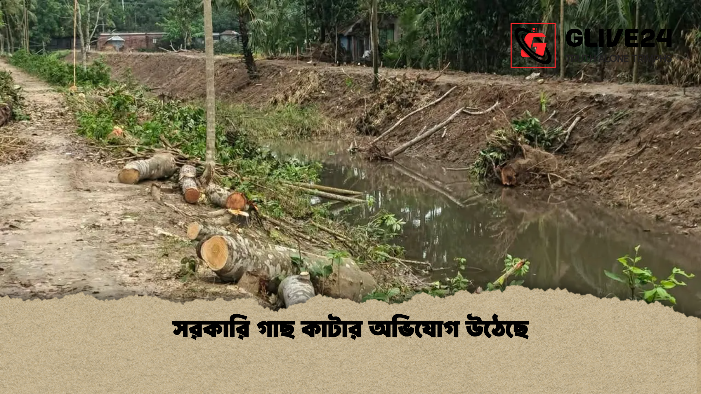 news thumbnail 1777728185913 সরকারি গাছ কাটার অভিযোগ উঠেছে
