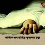 news thumbnail 1777729359113 পানিতে ধান হারিয়ে কৃষকের মৃত্যু