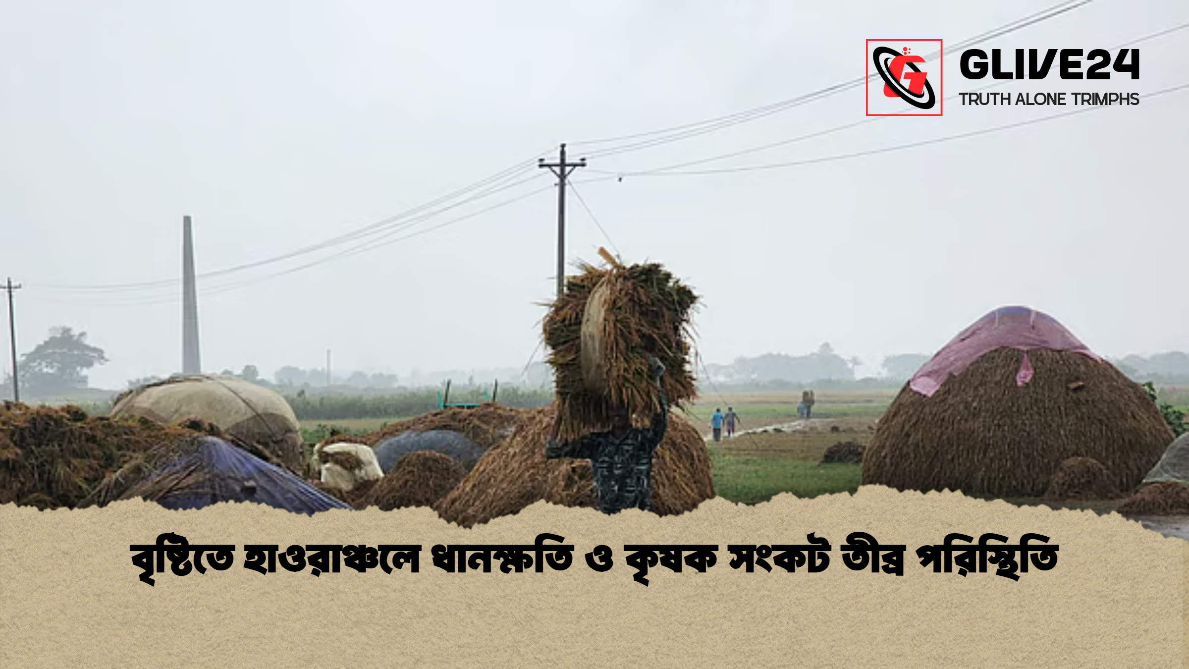 news thumbnail 1777798007325 বৃষ্টিতে হাওরাঞ্চলে ধানক্ষতি ও কৃষক সংকট তীব্র পরিস্থিতি