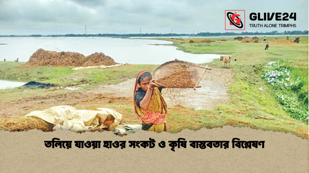 news thumbnail 1777874532805 তলিয়ে যাওয়া হাওর সংকট ও কৃষি বাস্তবতার বিশ্লেষণ