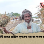 news thumbnail 1777882464794 কাউয়াদীঘি হাওরে প্রান্তিক কৃষকের ভয়াবহ ফসল ক্ষতি চিত্র