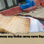 news thumbnail 1777968994038 মেঘনায় ঝড়ে নিখোঁজ জেলের মরদেহ উদ্ধার