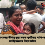 news thumbnail 1777972063509 বরিশালের উজিরপুরে সড়ক দুর্ঘটনায় দাদি-নাতি মর্মান্তিকভাবে নিহত ঘটনা