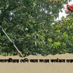news thumbnail 1777972651323 সাতক্ষীরায় দেশি আম সংগ্রহ কার্যক্রম শুরু