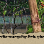 news thumbnail 1778132143974 কালবৈশাখীতে আক্কেলপুরে বিদ্যুৎ বিপর্যয়, দুর্ভোগে গ্রাহক