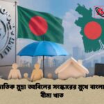 আন্তর্জাতিক মুদ্রা তহবিলের সংস্কারের মুখে বাংলাদেশের বীমা খাত