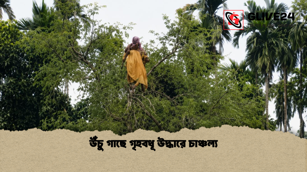 উঁচু গাছে গৃহবধূ উদ্ধারে চাঞ্চল্য উঁচু গাছে গৃহবধূ উদ্ধারে চাঞ্চল্য