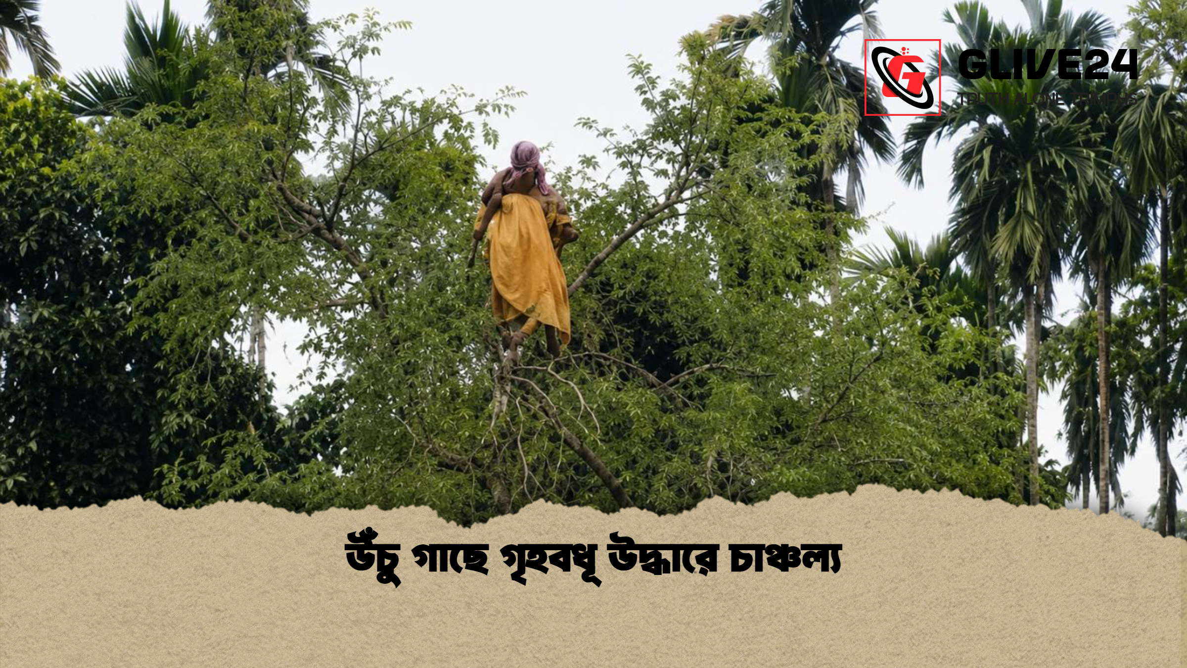 উঁচু গাছে গৃহবধূ উদ্ধারে চাঞ্চল্য উঁচু গাছে গৃহবধূ উদ্ধারে চাঞ্চল্য
