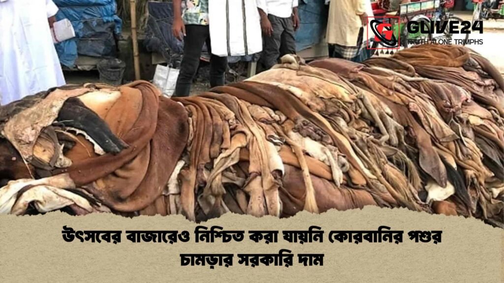 উৎসবের বাজারেও নিশ্চিত করা যায়নি কোরবানির পশুর চামড়ার সরকারি দাম