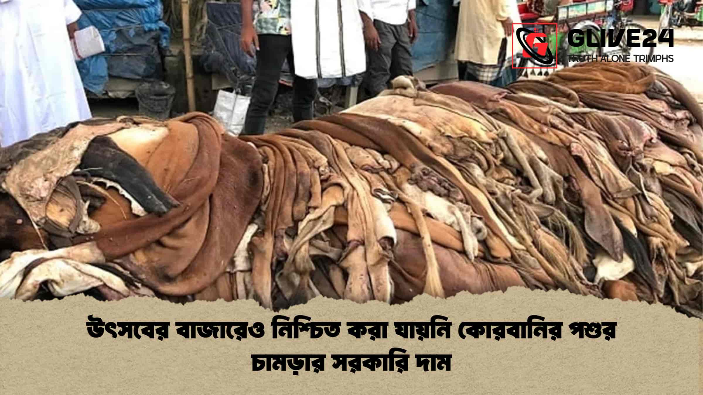 উৎসবের বাজারেও নিশ্চিত করা যায়নি কোরবানির পশুর চামড়ার সরকারি দাম 1 উৎসবের বাজারেও নিশ্চিত করা যায়নি কোরবানির পশুর চামড়ার সরকারি দাম