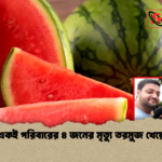 একই পরিবারের ৪ জনের মৃত্যু তরমুজ খেয়ে একই পরিবারের ৪ জনের মৃত্যু তরমুজ খেয়ে