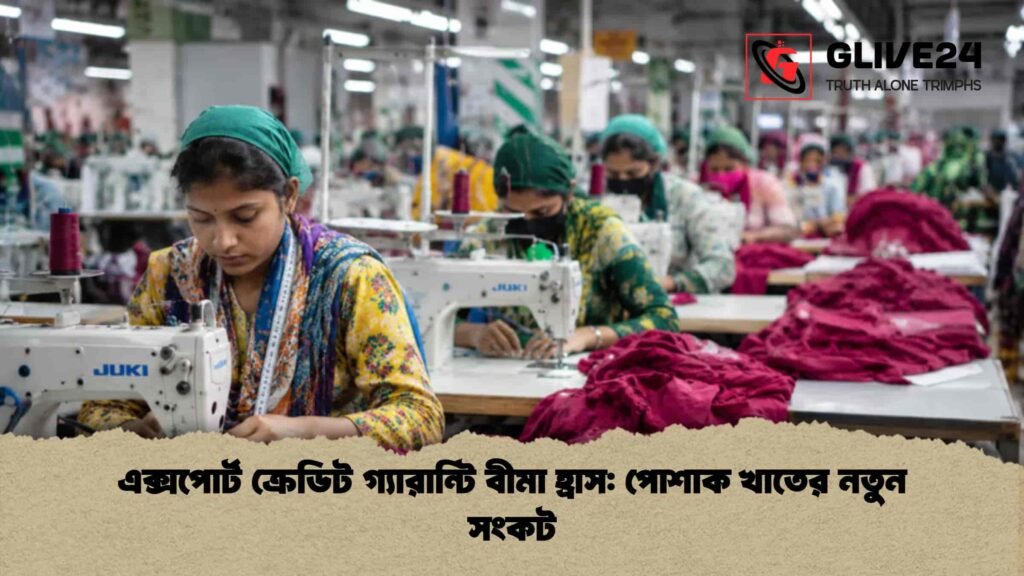 এক্সপোর্ট ক্রেডিট গ্যারান্টি বীমা হ্রাস পোশাক খাতের নতুন সংকট