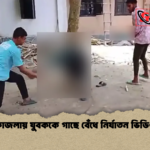 কাজলায় যুবককে গাছে বেঁধে নির্যাতন ভিডিও কাজলায় যুবককে গাছে বেঁধে নির্যাতন ভিডিও