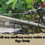 কালবৈশাখী ঝড়ে মেহেন্দীগঞ্জে লণ্ডভণ্ড শতাধিক ঘরবাড়ি ও বিদ্যুৎ বিপর্যয়