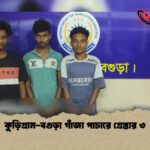 কুড়িগ্রাম বগুড়া গাঁজা পাচারে গ্রেপ্তার ৩ 1 কুড়িগ্রাম-বগুড়া গাঁজা পাচারে গ্রেপ্তার ৩