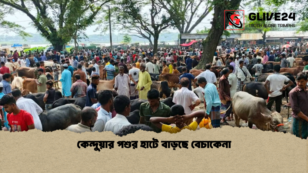 কেন্দুয়ার পশুর হাটে বাড়ছে বেচাকেনা কেন্দুয়ার পশুর হাটে বাড়ছে বেচাকেনা