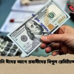 কোরবানি ঈদের আগে প্রবাসীদের বিপুল রেমিট্যান্স প্রেরণ
