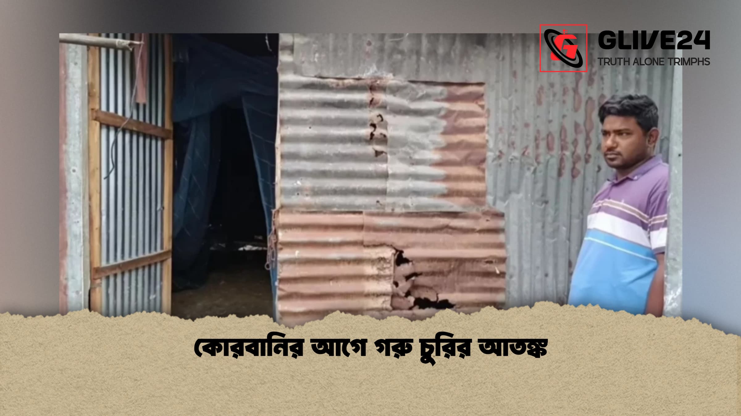 কোরবানির আগে গরু চুরির আতঙ্ক