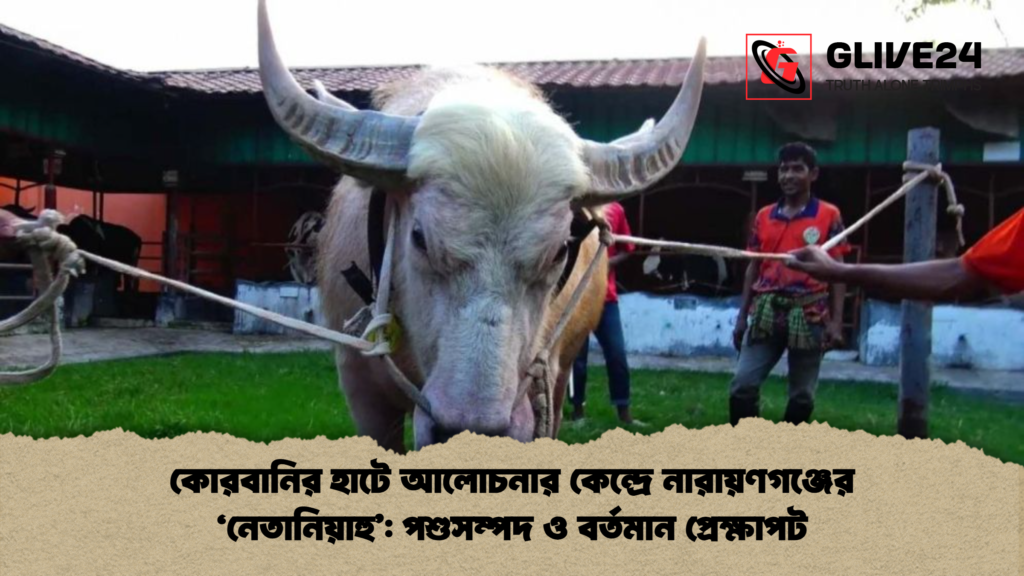 কোরবানির হাটে আলোচনার কেন্দ্রে নারায়ণগঞ্জের নেতানিয়াহু পশুসম্পদ ও বর্তমান প্রেক্ষাপট কোরবানির হাটে আলোচনার কেন্দ্রে নারায়ণগঞ্জের 'নেতানিয়াহু': পশুসম্পদ ও বর্তমান প্রেক্ষাপট