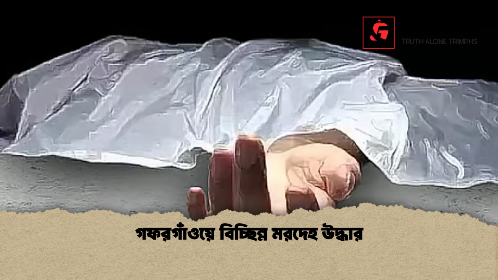 গফরগাঁওয়ে বিচ্ছিন্ন মরদেহ উদ্ধার গফরগাঁওয়ে বিচ্ছিন্ন মরদেহ উদ্ধার