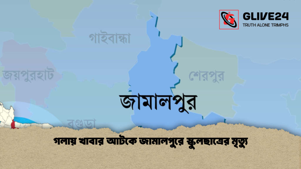 গলায় খাবার আটকে জামালপুরে স্কুলছাত্রের মৃত্যু 1 গলায় খাবার আটকে জামালপুরে স্কুলছাত্রের মৃত্যু