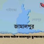 গলায় খাবার আটকে জামালপুরে স্কুলছাত্রের মৃত্যু 1 গলায় খাবার আটকে জামালপুরে স্কুলছাত্রের মৃত্যু