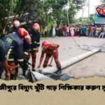 গাজীপুরে বিদ্যুৎ খুঁটি পড়ে শিক্ষিকার করুণ মৃত্যু