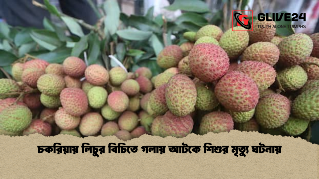 চকরিয়ায় লিচুর বিচিতে গলায় আটকে শিশুর মৃত্যু ঘটনায় চকরিয়ায় লিচুর বিচিতে গলায় আটকে শিশুর মৃত্যু ঘটনায়