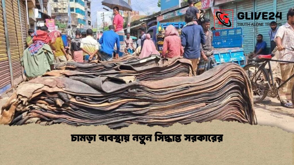 চামড়া ব্যবস্থায় নতুন সিদ্ধান্ত সরকারের