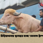 জাতীয় চিড়িয়াখানায় স্থানান্তর হচ্ছে ‘ডোনাল্ড ট্রাম্প মহিষ 1 জাতীয় চিড়িয়াখানায় স্থানান্তর হচ্ছে ‘ডোনাল্ড ট্রাম্প’ মহিষ