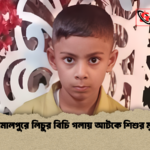 জামালপুরে লিচুর বিচি গলায় আটকে শিশুর মৃত্যু 1 জামালপুরে লিচুর বিচি গলায় আটকে শিশুর মৃত্যু