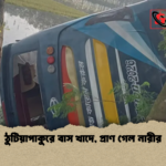 ঠুটিয়াপাকুরে বাস খাদে প্রাণ গেল নারীর ঠুটিয়াপাকুরে বাস খাদে, প্রাণ গেল নারীর