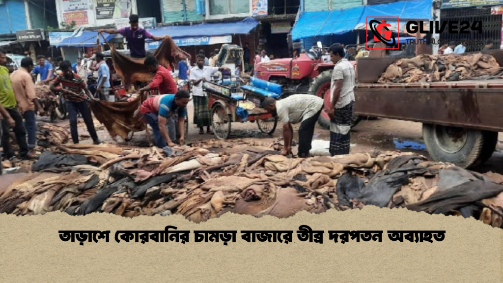 তাড়াশে কোরবানির চামড়া বাজারে তীব্র দরপতন অব্যাহত 1 তাড়াশে কোরবানির চামড়া বাজারে তীব্র দরপতন অব্যাহত