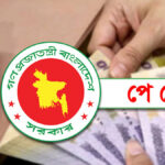নবম বেতন স্কেল দ্রুত বাস্তবায়নের দাবি নবম বেতন স্কেল দ্রুত বাস্তবায়নের দাবি
