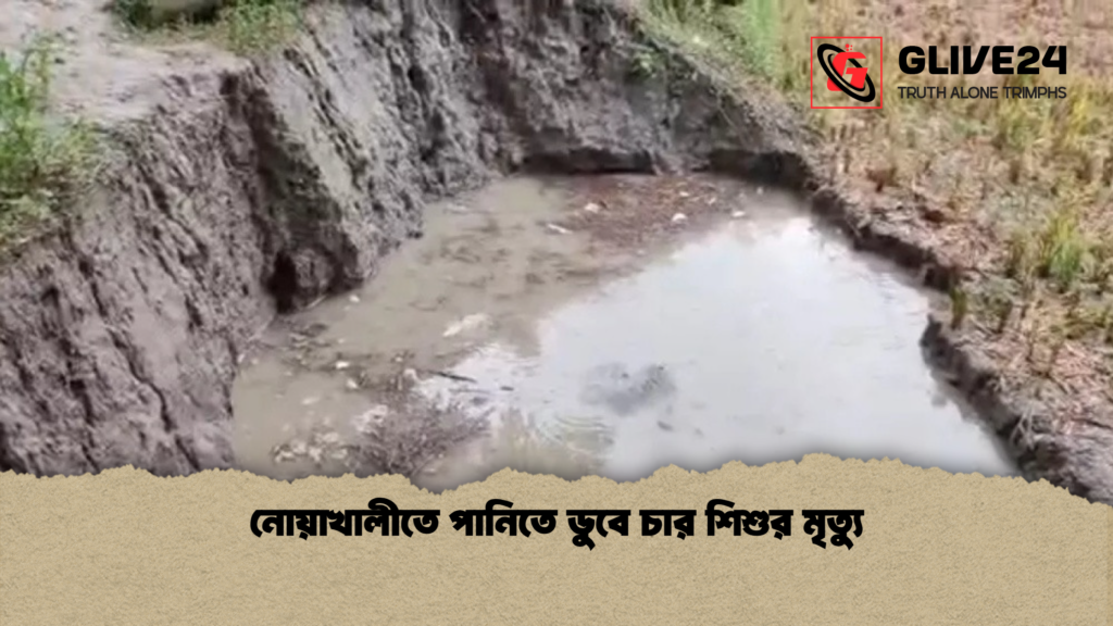 নোয়াখালীতে পানিতে ডুবে চার শিশুর মৃত্যু নোয়াখালীতে পানিতে ডুবে চার শিশুর মৃত্যু