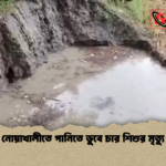 নোয়াখালীতে পানিতে ডুবে চার শিশুর মৃত্যু নোয়াখালীতে পানিতে ডুবে চার শিশুর মৃত্যু