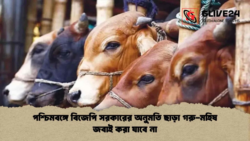 পশ্চিমবঙ্গে বিজেপি সরকারের অনুমতি ছাড়া গরু-মহিষ জবাই করা যাবে না