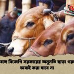 পশ্চিমবঙ্গে বিজেপি সরকারের অনুমতি ছাড়া গরু-মহিষ জবাই করা যাবে না