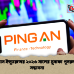 পিং আন ইন্স্যুরেন্সের ২০২৬ সালের মুনাফা পুনরুদ্ধারের সম্ভাবনা পিং আন ইন্স্যুরেন্সের ২০২৬ সালের মুনাফা পুনরুদ্ধারের সম্ভাবনা