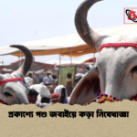 প্রকাশ্যে পশু জবাইয়ে কড়া নিষেধাজ্ঞা প্রকাশ্যে পশু জবাইয়ে কড়া নিষেধাজ্ঞা