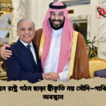 ফিলিস্তিন রাষ্ট্র গঠন ছাড়া স্বীকৃতি নয় সৌদি–পাকিস্তানের অবস্থান 1 ফিলিস্তিন রাষ্ট্র গঠন ছাড়া স্বীকৃতি নয় সৌদি–পাকিস্তানের অবস্থান
