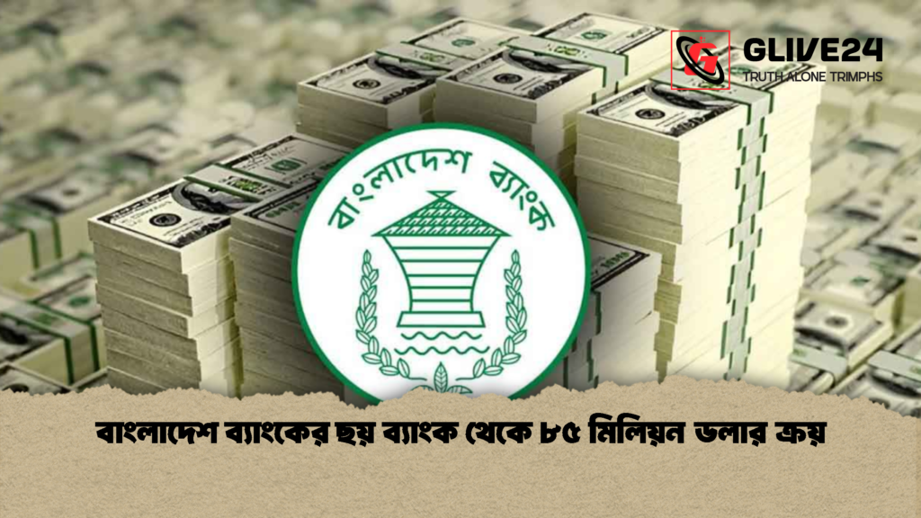 বাংলাদেশ ব্যাংকের ছয় ব্যাংক থেকে ৮৫ মিলিয়ন ডলার ক্রয় 2 বাংলাদেশ ব্যাংকের ছয় ব্যাংক থেকে ৮৫ মিলিয়ন ডলার ক্রয়
